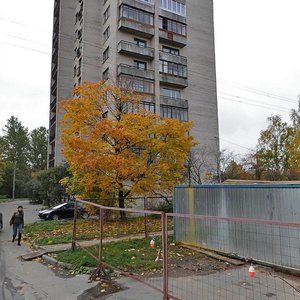 Kosmonavtov Avenue, 50к1, Saint Petersburg: photo