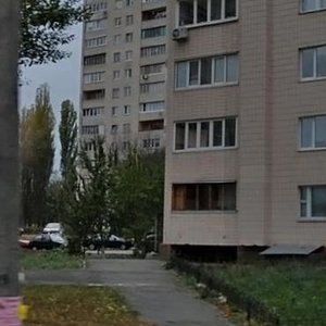 Lesia Kurbasa Avenue, 3В, Kyiv: photo