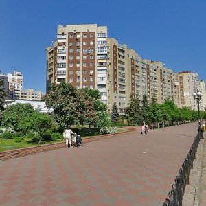Heroiv Stalinhrada Avenue, 14Б, Kyiv: photo