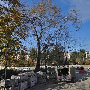 Chaikovskogo Street, 25/1, Sochi: photo