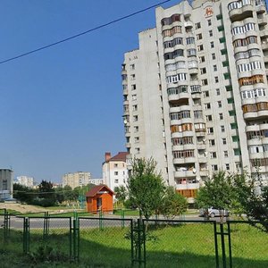 Vulytsia Trylovskoho, 18, Lviv: photo