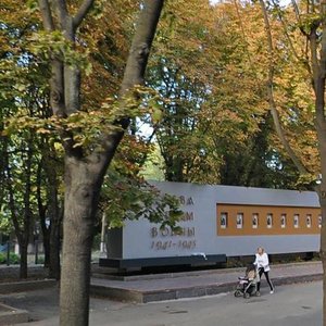 Vulytsia Malinovskoho, 10/14, : foto
