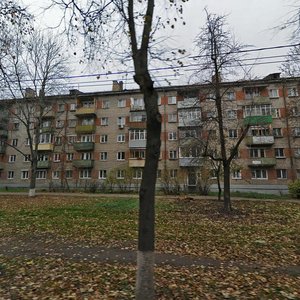 Lva Tolstogo Street, 91, Tula: photo