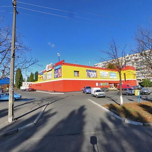Hryhorovycha-Barskoho Street, 1, Kyiv: photo