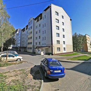 Batanichnaja Street, 7А, Minsk: photo