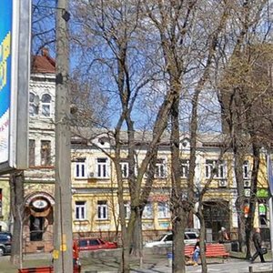 Bulvarno-Kudriavska Street, 12, Kyiv: photo