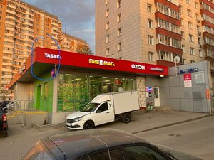 Bogdanova Street, 24 ، موسكو: صورة