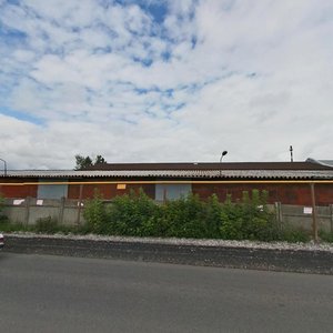 Vasiliya Vasilyeva Street, 9, Perm: photo