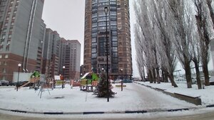Воронеж, Улица Историка Костомарова, 48А: фото