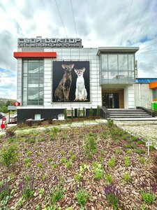 Karla Libknekhta Street, 51Б, : foto