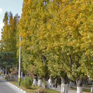 Новороссийск, Улица Героев Десантников, 23: фото