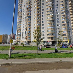 Anny Akhmatovoi Street, 44/11, Kyiv: photo