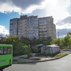 Vulytsia Mashynobudivnykiv, 9, Vyshneve: photo