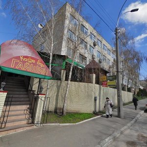Novopecherskyi Lane, 5, Kyiv: photo