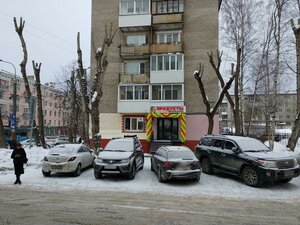 Пермь, Улица Борчанинова, 4: фото