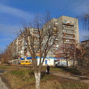 Biryuzova Street, 5, Ryazan: photo