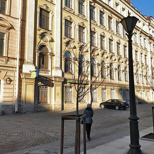 Malaya Konyushennaya Street, 8, Saint Petersburg: photo