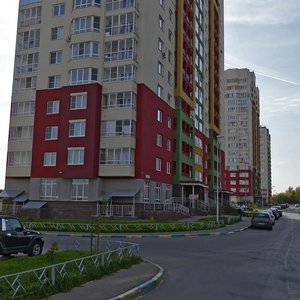 Нижний Новгород, Улица Академика Сахарова, 113: фото